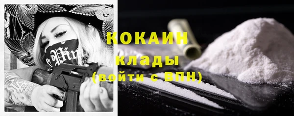 прущие грибы Балахна