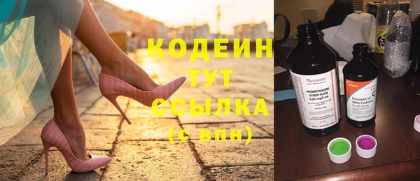 дурь Гусев