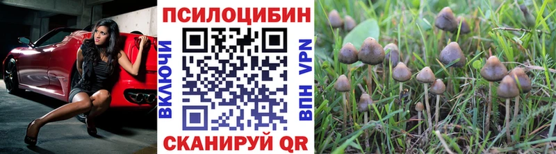 гидра tor  Сергач  Псилоцибиновые грибы Psilocybine cubensis  купить наркотики сайты 